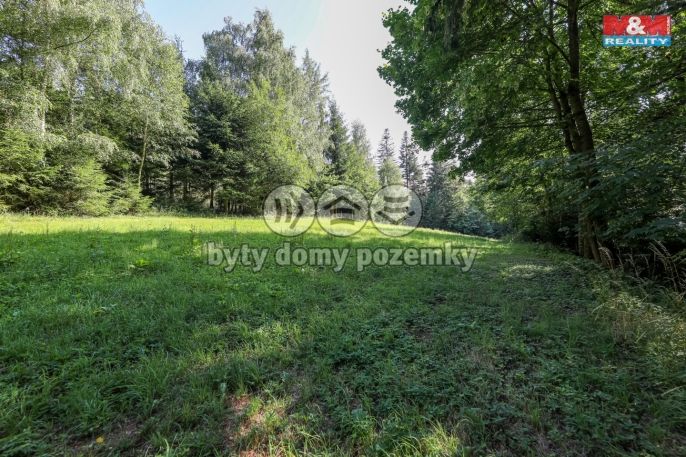 Prodej, Les, Petrovice u Sušice