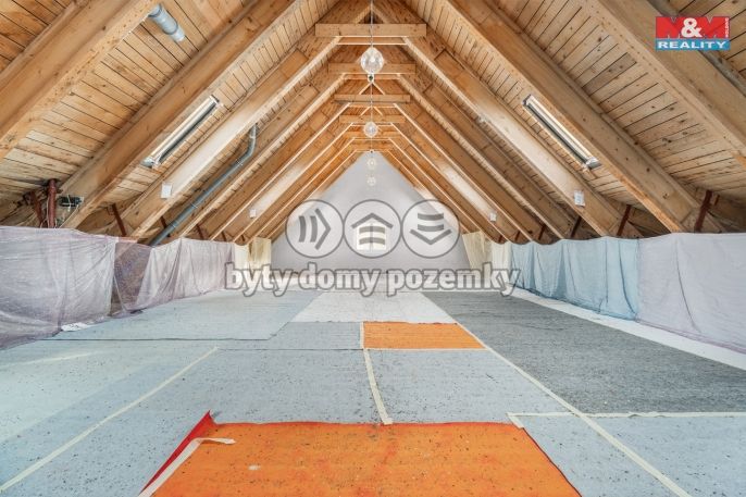 Prodej, Hotel, penzion, Borušov