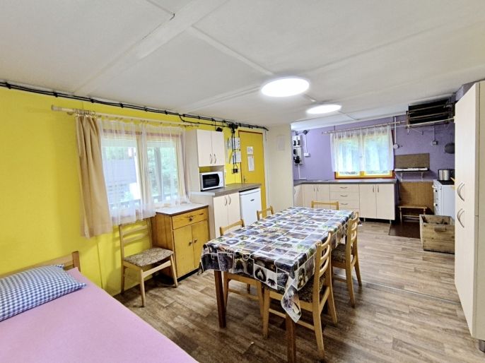 Prodej, Hotel, penzion, Pojbuky