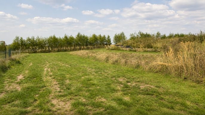 Prodej, Zahrada, Velké Popovice