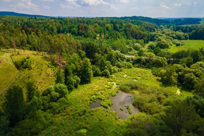 Prodej, Ostatní, Přešťovice