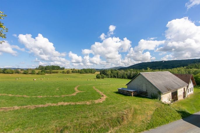 Prodej, Chalupa, Kolinec