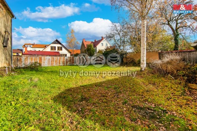 Prodej, Zemědělská usedlost, Bor