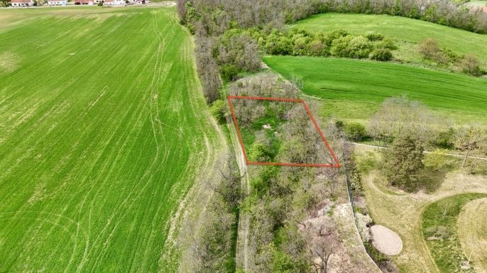 Prodej, Ostatní, Oleksovice