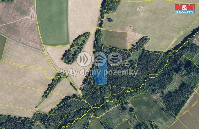 Prodej, Les, Jiříkov