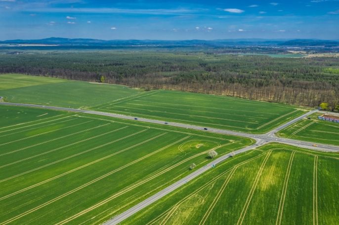 Prodej, Pole, Čistá