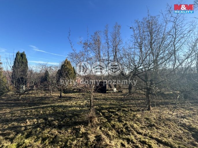 Prodej, Zahrada, Kolín