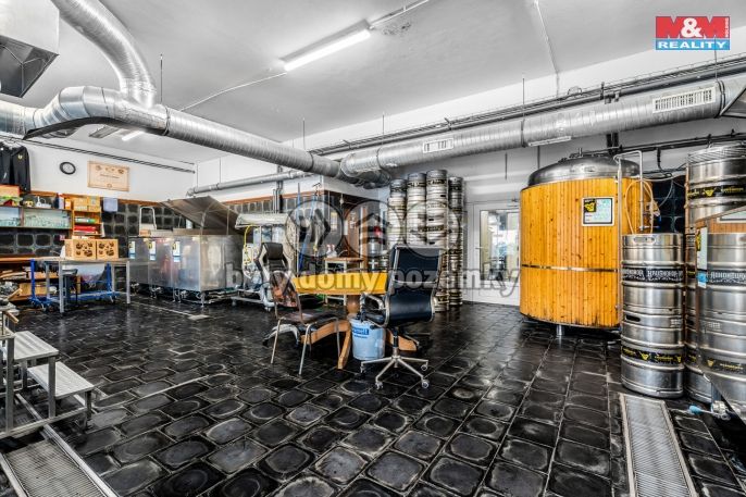 Prodej, Obchodní objekt, Kraslice