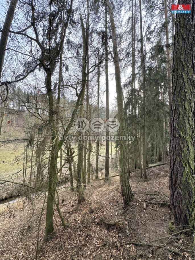 Prodej, Chalupa, Trhový Štěpánov