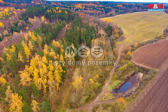 Prodej, Les, Tuchořice