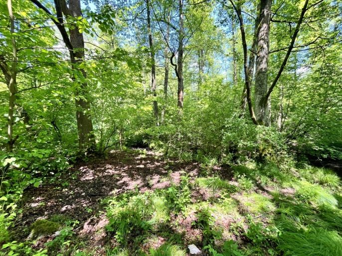 Prodej, Vodní plocha, Skalice u České Lípy