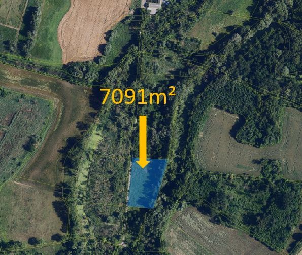 Prodej, Ostatní, Hrabětice