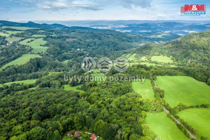 Prodej, Les, Homole u Panny