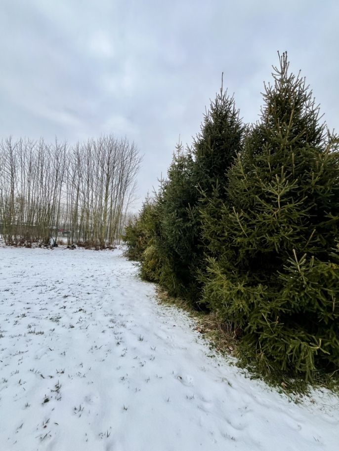 Prodej, Pozemek k bydlení, Vratimov