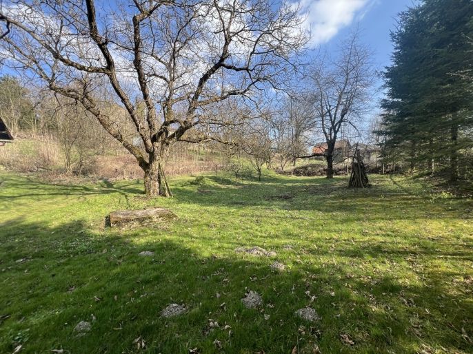 Prodej, Rodinný dům, Odry