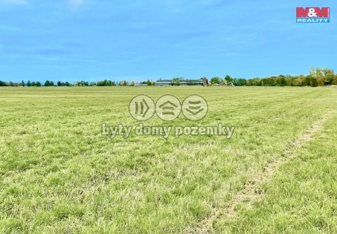 Prodej, Pole, Dolní Roveň