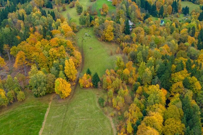 Prodej, Louka, Tanvald