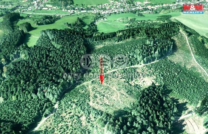 Prodej, Les, Lhota u Vsetína