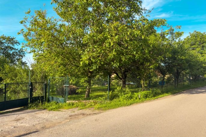 Prodej, Pozemek k bydlení, Václavice