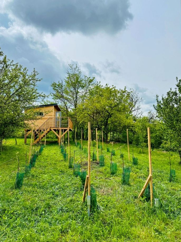 Prodej, Chata, Blučina