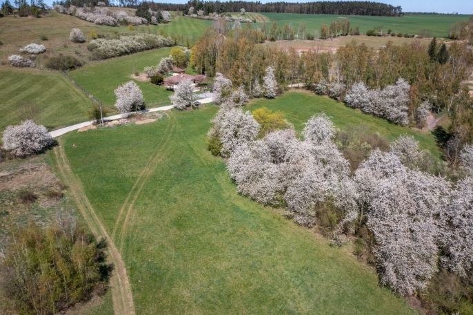 Prodej, Pozemek k bydlení, Břasy