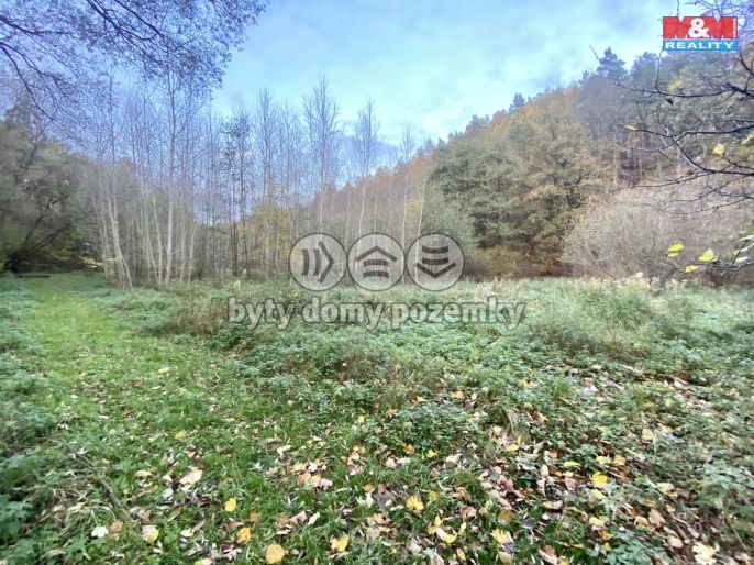 Prodej, Zahrada, Ostrava