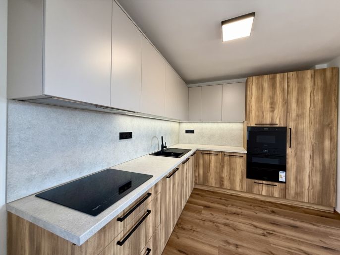 Pronájem, Byt 3+kk, Hať