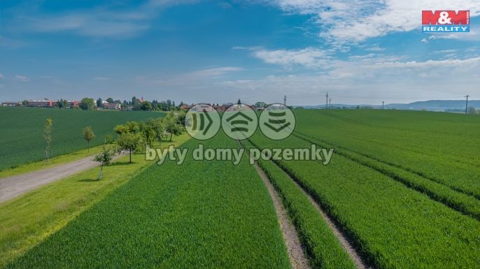 Prodej, Ostatní, Plazy