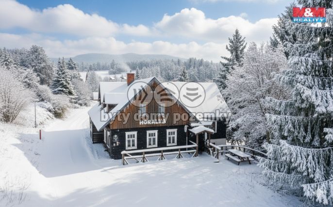 Prodej, Hotel, penzion, Rokytnice nad Jizerou