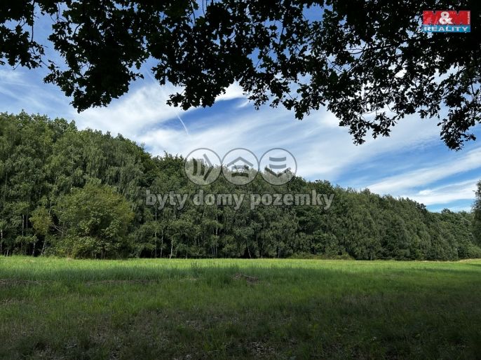 Prodej, Louka, Petrovice u Karviné