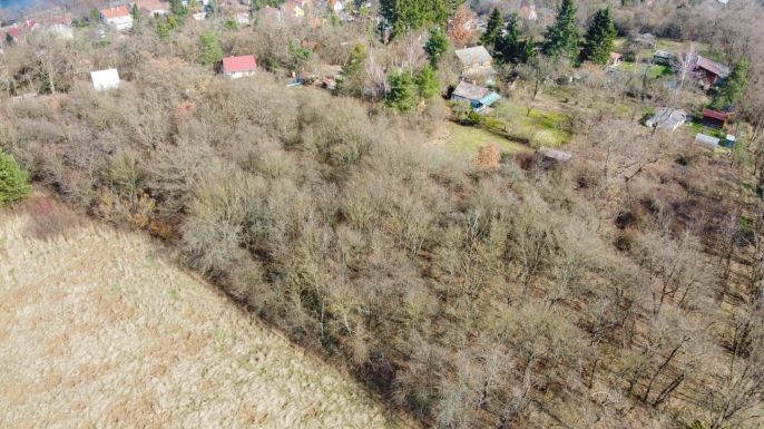 Prodej, Ovocný sad, Zadní Třebaň