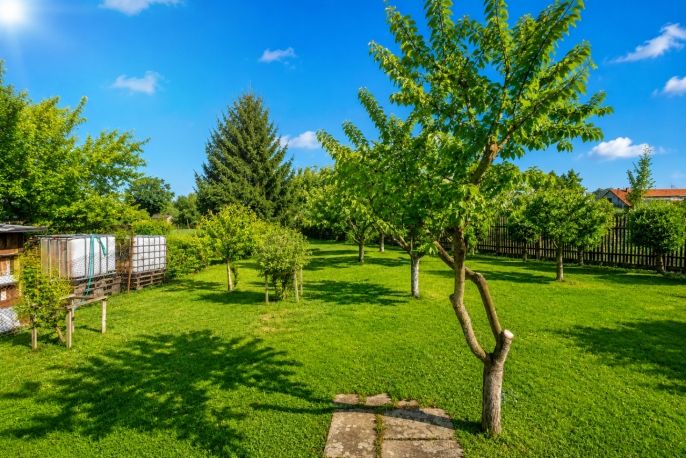 Prodej, Chalupa, Lužec nad Cidlinou