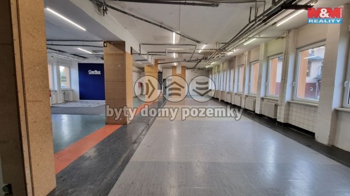 Pronájem, Obchod a služby, Český Těšín