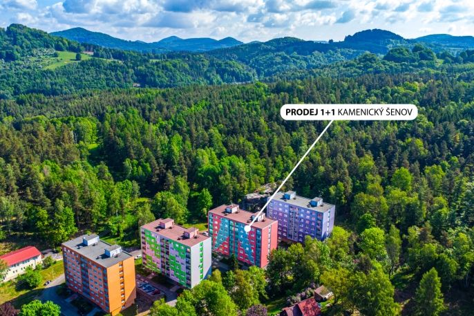 Prodej, Byt 1+1, Kamenický Šenov