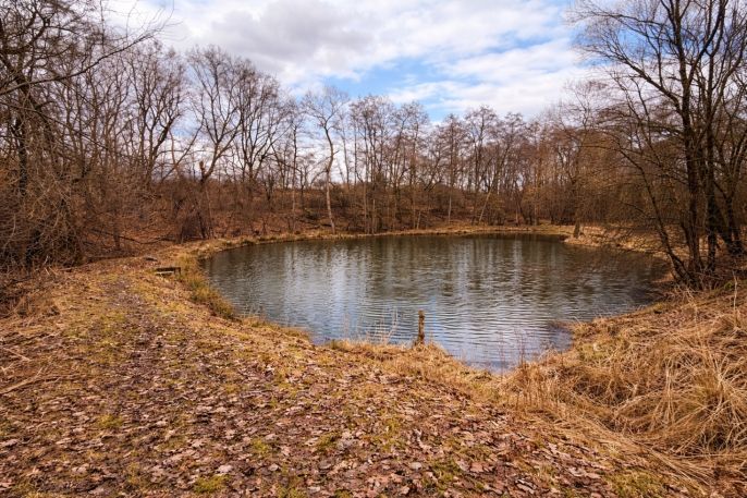 Prodej, Vodní plocha, Křečovice