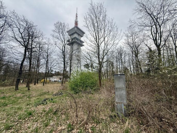 Prodej, Les, Býšť