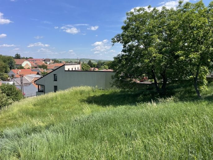 Prodej, Pozemek k bydlení, Holubice