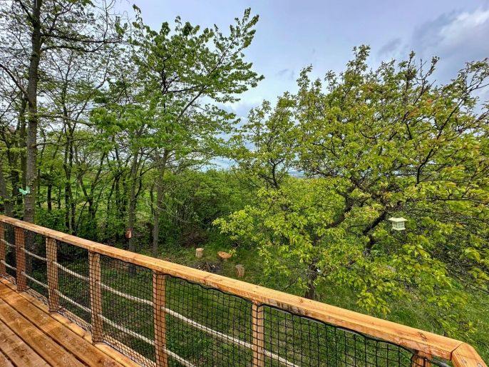 Prodej, Ostatní, Blučina