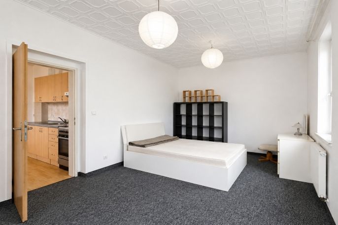 Pronájem, Byt 1+1, Nová Role