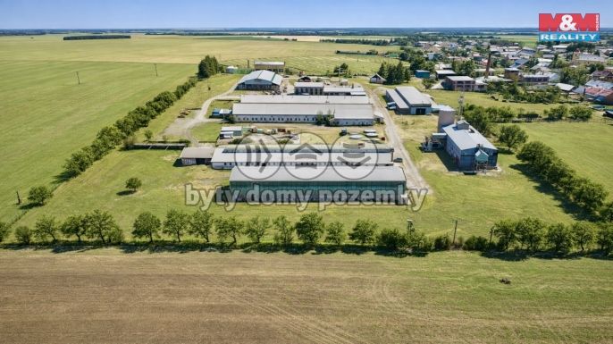 Prodej, Pastvina, Vyškov