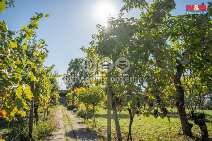 Prodej, Rodinný dům, Mikulov