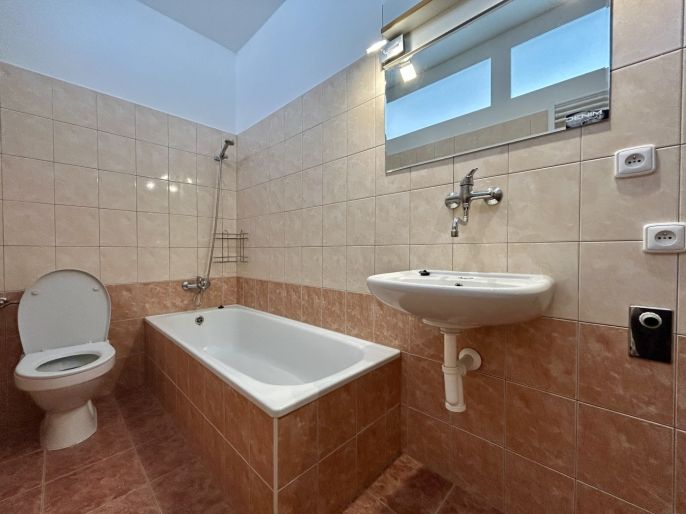 Pronájem, Byt 1+1, Švihov