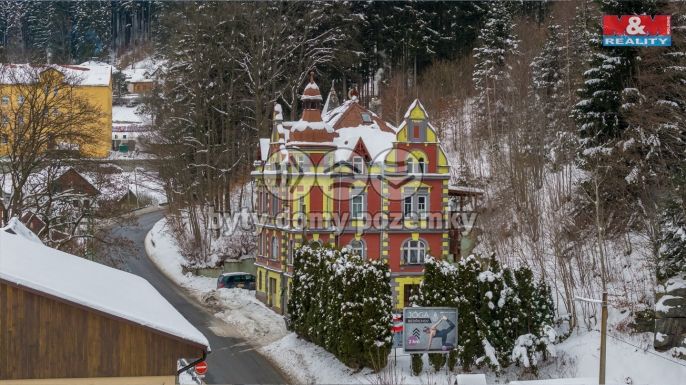 Prodej, Hotel, penzion, Janov nad Nisou