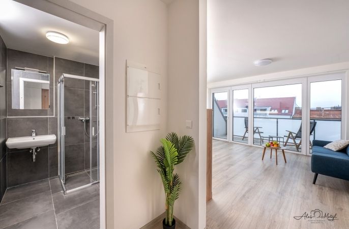 Prodej, Byt 1+kk, České Budějovice