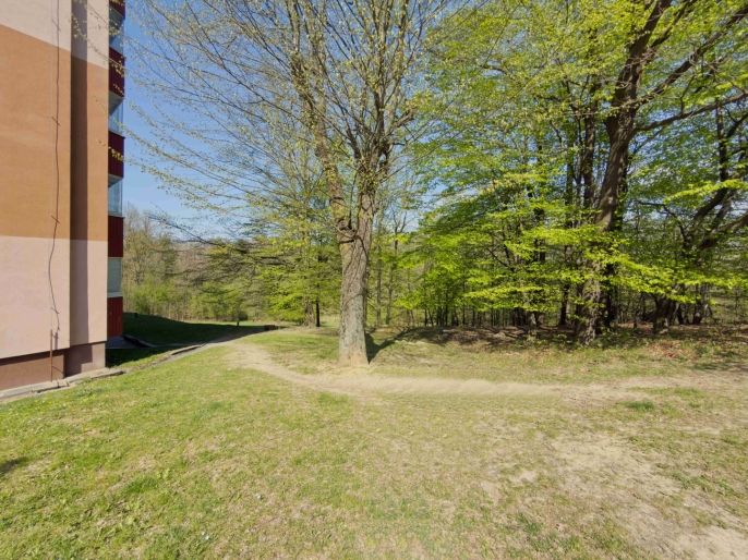 Prodej, Byt 3+1, Orlová