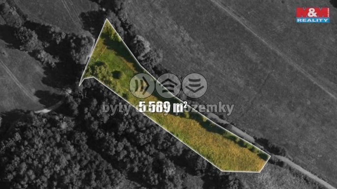 Prodej, Louka, Česká Lípa