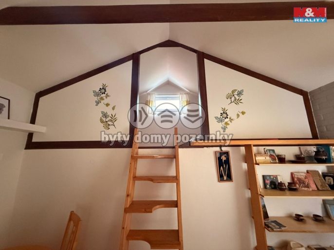 Pronájem, Hotel, penzion, Vilémov