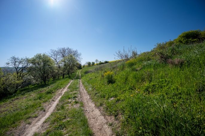 Prodej, Pozemek k bydlení, Halenkovice