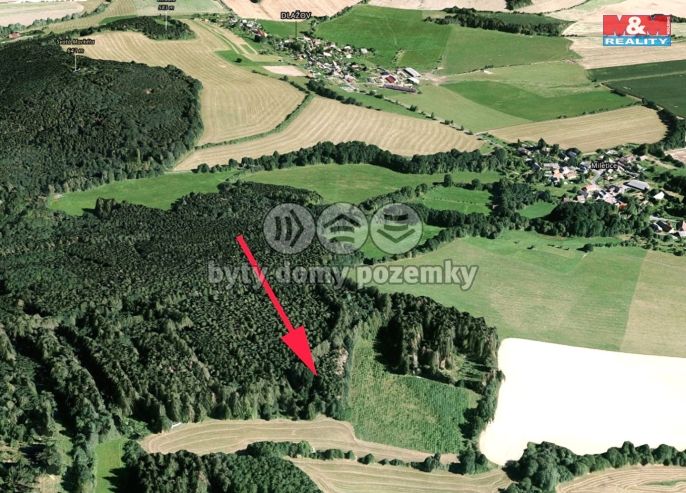 Prodej, Les, Dlažov