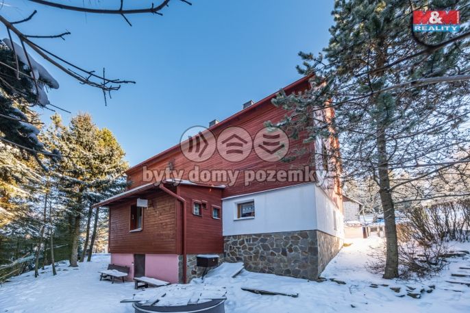 Prodej, Hotel, penzion, Loučná pod Klínovcem